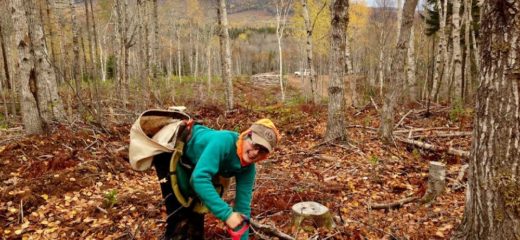 Une femme creuse un trou pour planter un arbre pour l’organisme One Tree Planted.