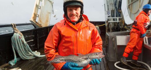 Fisherman holding pollack he just caught on a boat