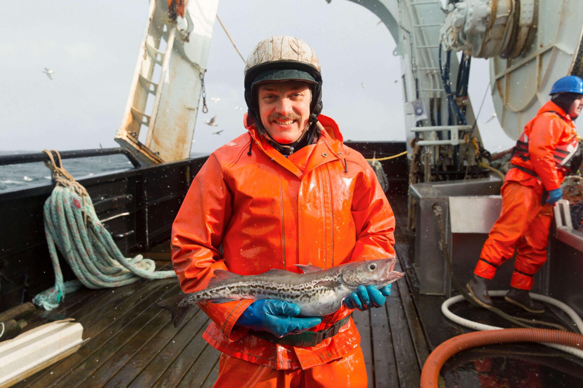 Fisherman holding pollack he just caught on a boat